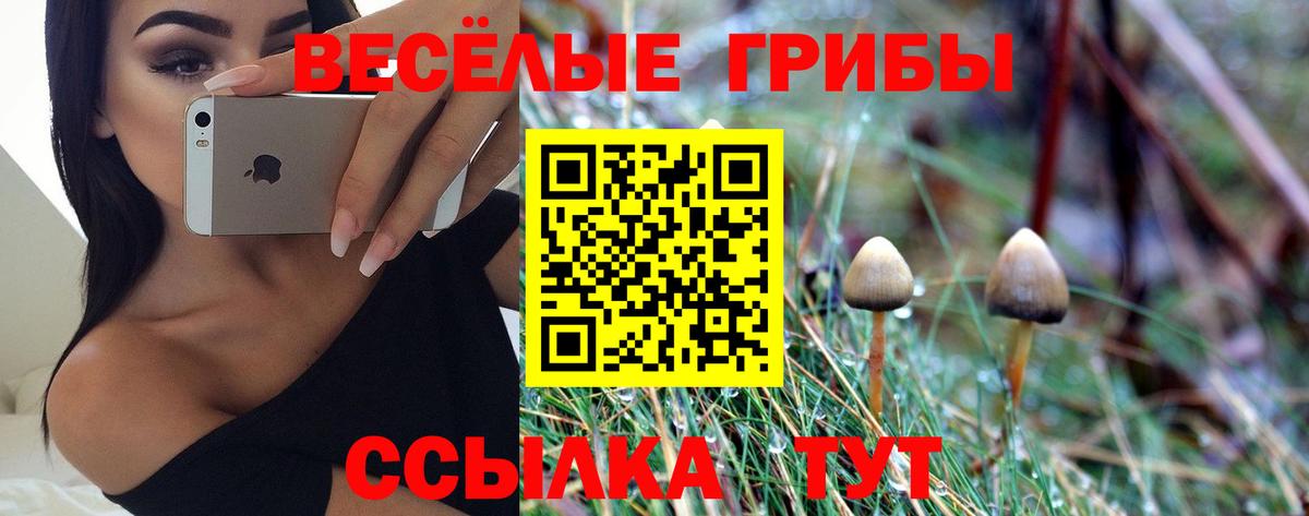 Галлюциногенные грибы ЛСД  Псилоцибиновые грибы Psilocybe  Вход с VPN  Керчь 